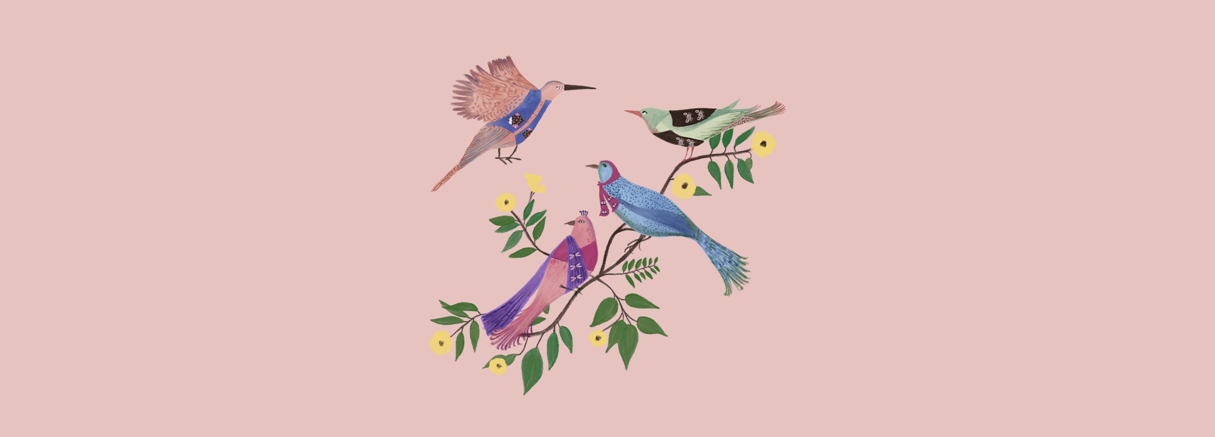 winglore-banner-birds.jpg