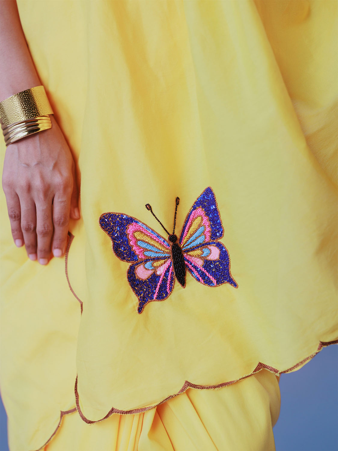 Butterfly Effect Saree